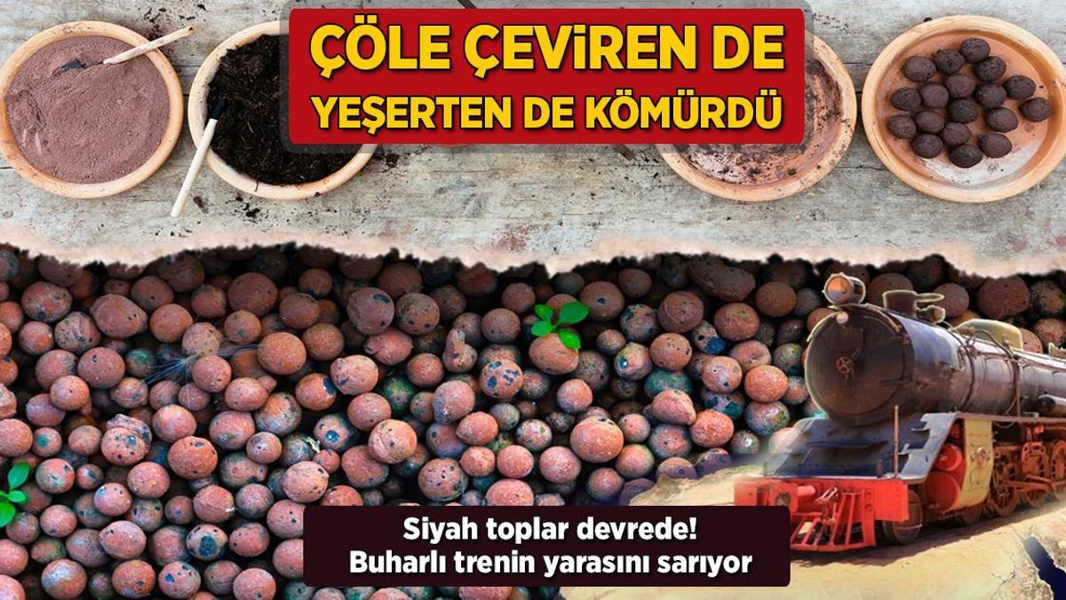 Kenya'nın Demir Yolu İhtişamı: Kömürle Canlanan Buharlı Trenler ve Yeşil Geleceğe Yönelik Umut