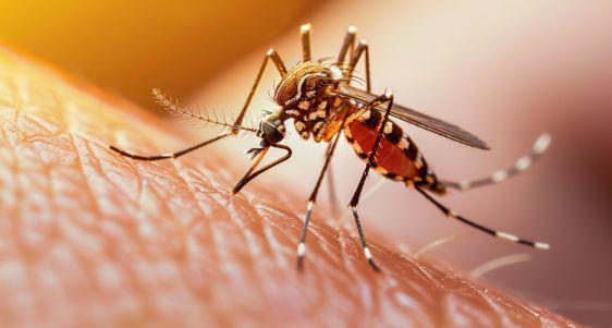 Bahaya Malaria: 5 Jenis Penyakit yang Mengancam Nyawa, Ketahui Gejala dan Pencegahannya!