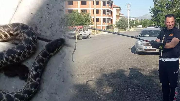 Türkiye'yi Sallayan Yılan Tehlikesi! Sandıklı'da Evlere Sızan Yılanlar Paniğe Yol Açtı