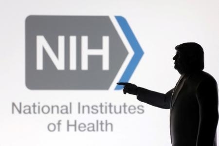 衝撃！トランプ政権下で停止された米国の生命科学研究資金2600億円：健康格差と感染症対策への影響とは？