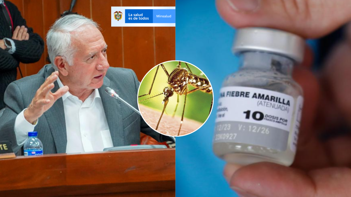 Consulta y Descarga tu Carnet de Vacunación contra la Fiebre Amarilla de forma gratuita