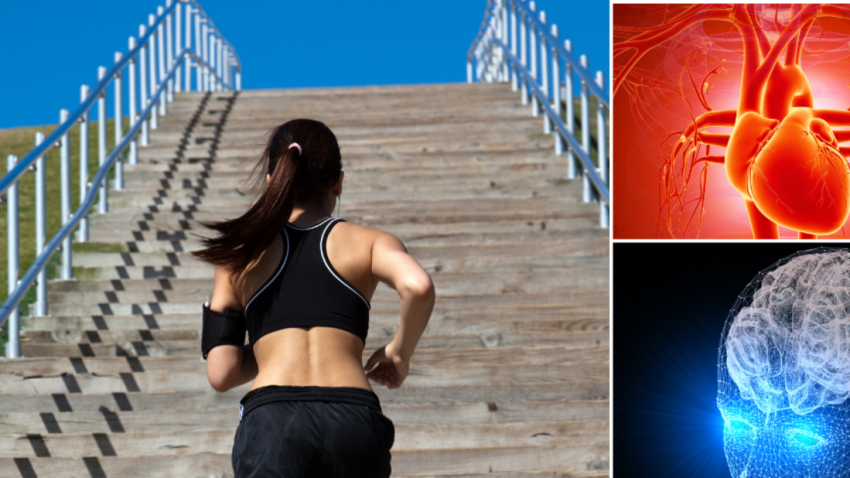 ¡Revitaliza tu Cuerpo y Mente con este Simple Ejercicio Diario!
