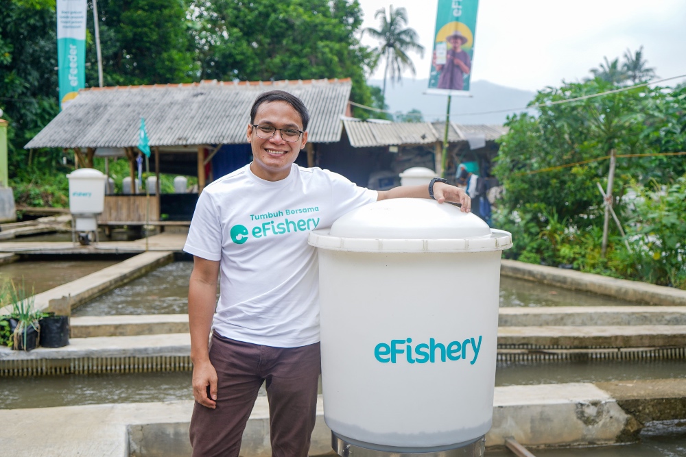 Mantan CEO eFishery Ungkap Kebenaran di Balik Manipulasi Laporan Keuangan: Pengakuan Mengejutkan!