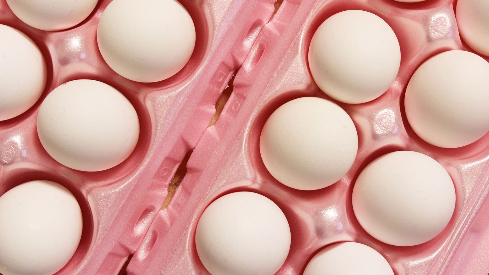 Eizellen einfrieren - Kosten & Co.: 5 Mythen zum Thema Social Egg Freezing
