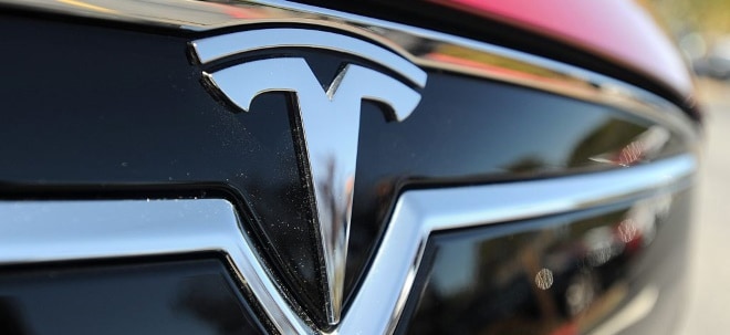 Tesla-Aktie unter Druck: Früherer Tesla-Fan Ross Gerber zweifelt an Teslas Zukunft