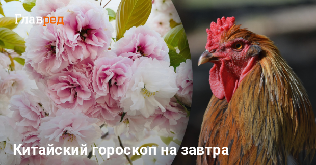 Китайский гороскоп на 14 апреля 2025 года: прогноз для каждого знака