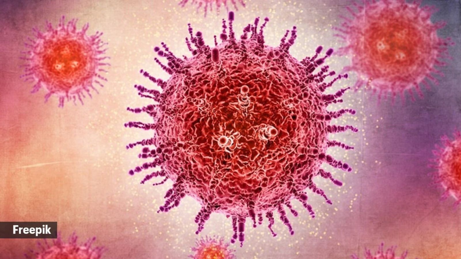 India's HMPV Outbreak: Health Ministry Debunks China Connection, Here's What You Need to Know