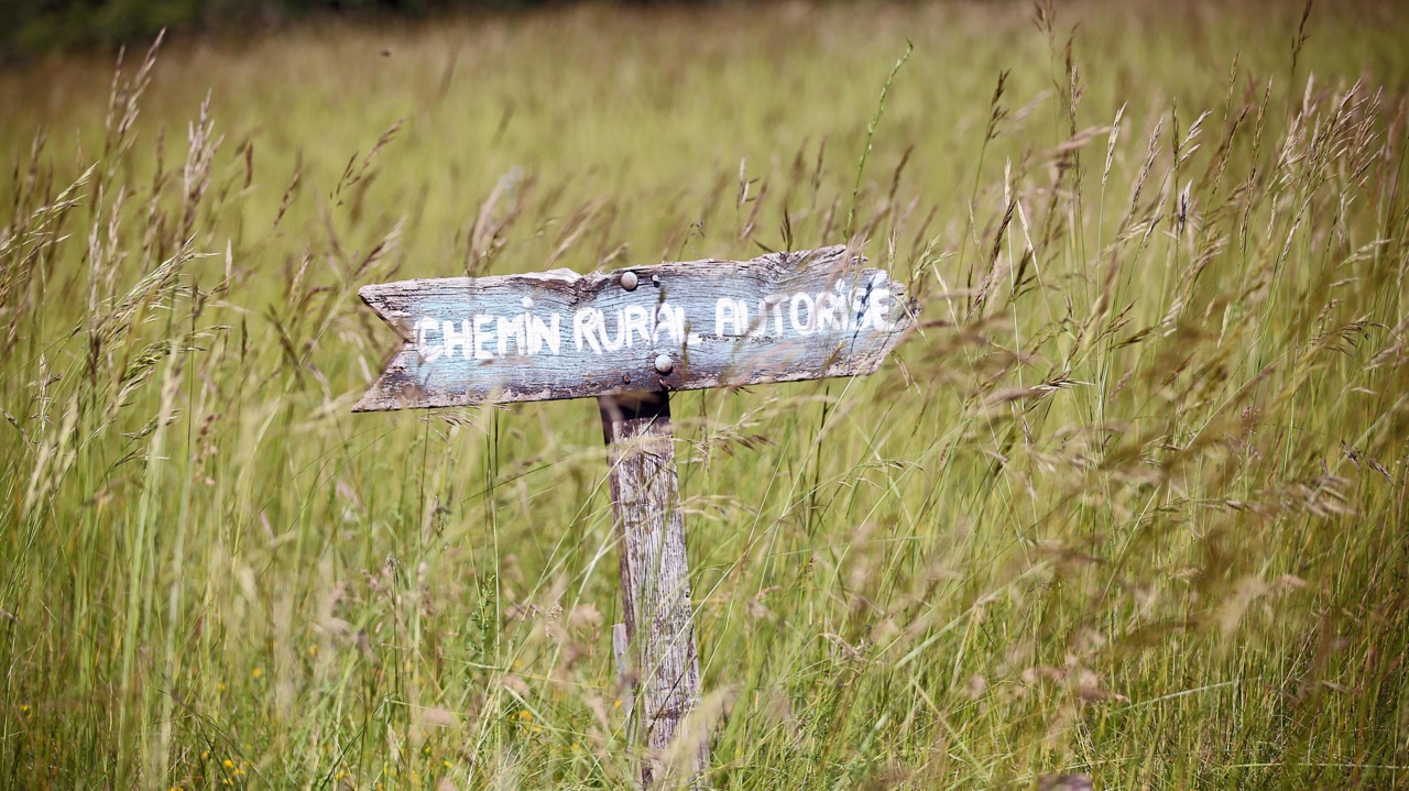 La Vie Rurale en Suisse: Décryptage d'un Monde Souvent Oublié