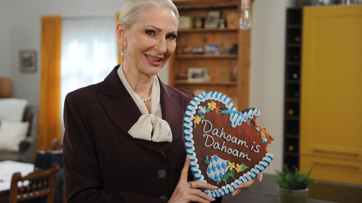 Désirée Nick: Vom Dschungel zur TV-Legende – Ihre überraschende Karriere-Wendung!