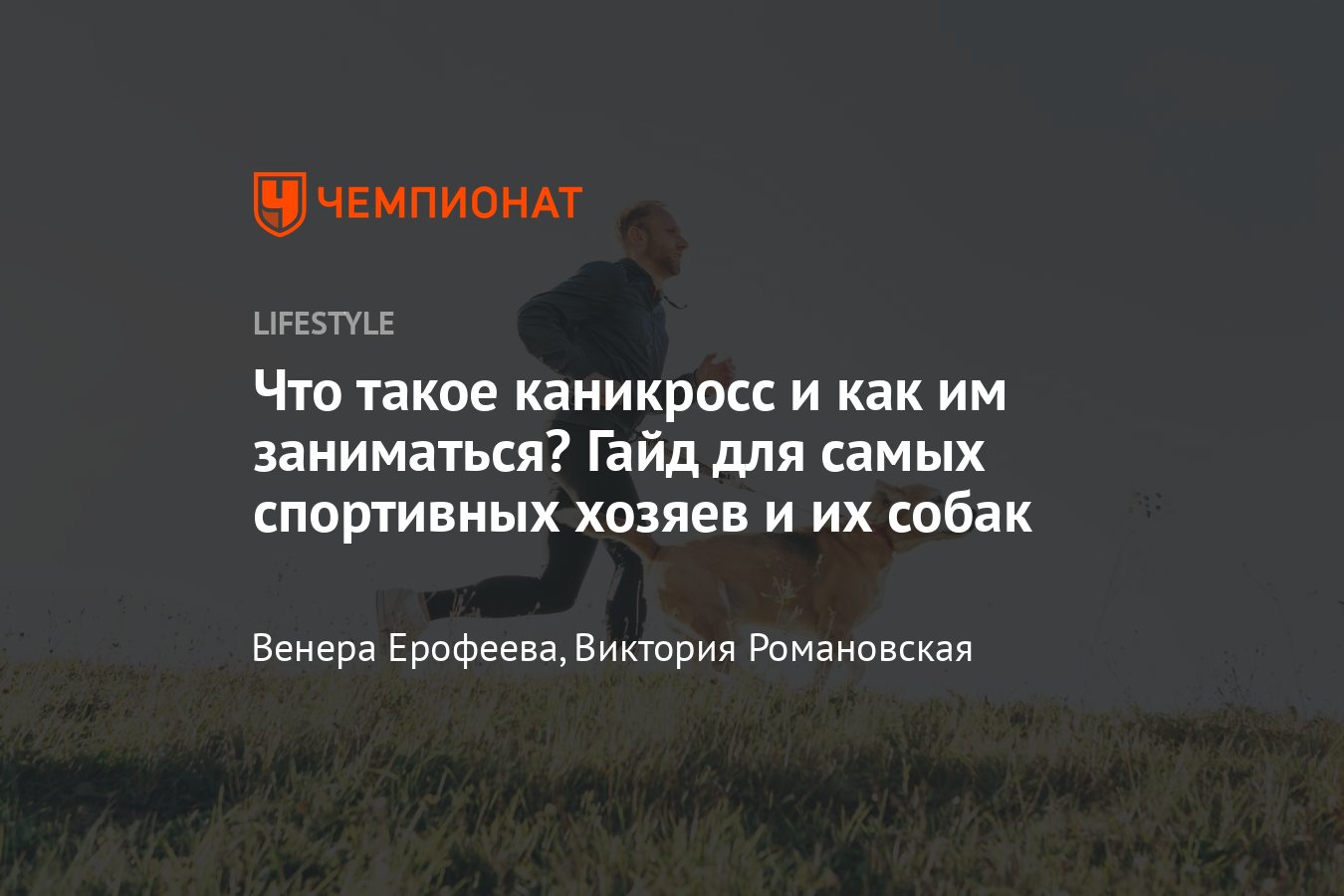 Каникросс с собакой: советы и оборудование для увлекательных пробежек