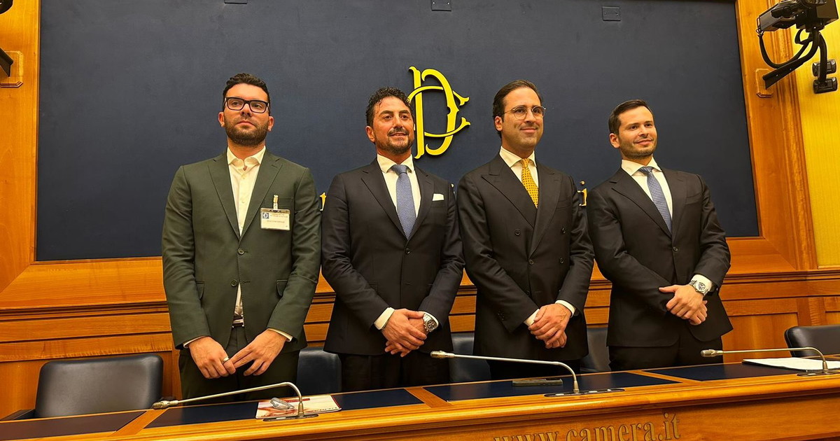 Bellezza, Benessere e Innovazione: Il Futuro del Mercato Italiano Discusso alla Camera dei Deputati