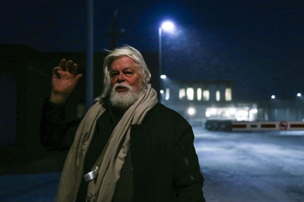 Attivista anti-caccia alle balene liberato in Groenlandia: la vittoria di Paul Watson