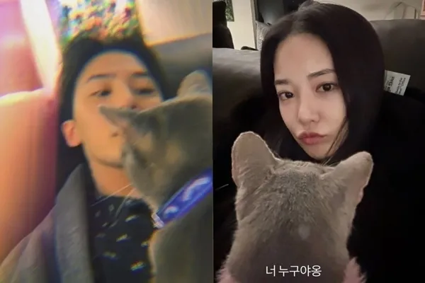 지드래곤♥이주연, 5번째 열애설? 고급 소파 포착에 누리꾼 '관심 집중'