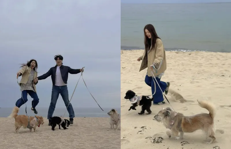 결혼 1달 전, 서동주 품에 찾아온 '새 가족' 푸들 노아! 감동적인 유기견 입양 스토리