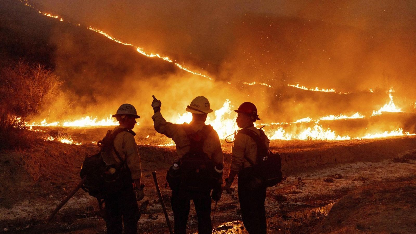 Waldbrände in Los Angeles: Feuerwehrleute im Kampf gegen die Flammen - Trumps Provokation