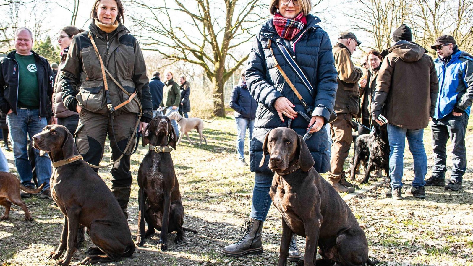 Entdecken Sie die Vielfalt der Jagdhunderassen bei der Pfostenschau in Wesel