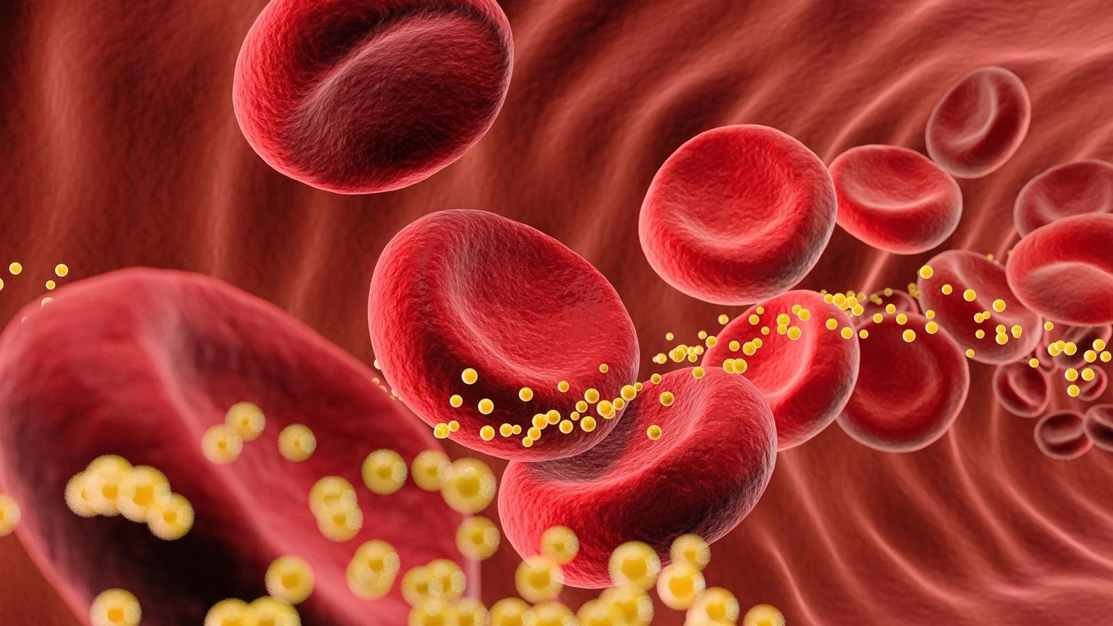Gesundheit: Risiko fürs Herz - dieser Wert ist genauso wichtig wie Cholesterin