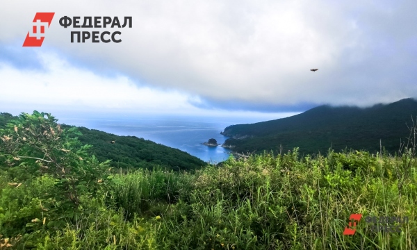 Летний бум на Дальнем Востоке: какой регион стал самым популярным у туристов