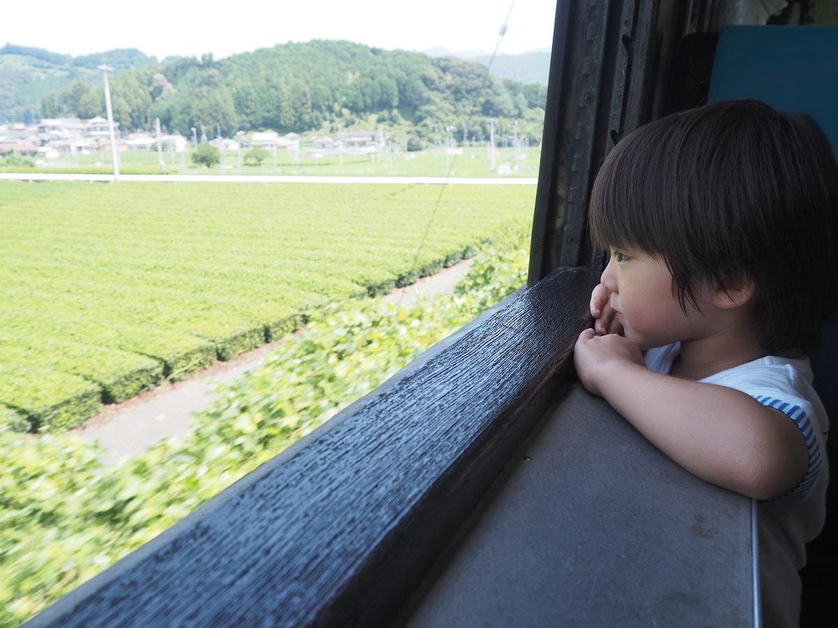 38歳男性が金融資産7020万円達成！NISAと株主優待で実現した夢の投資戦略とは？