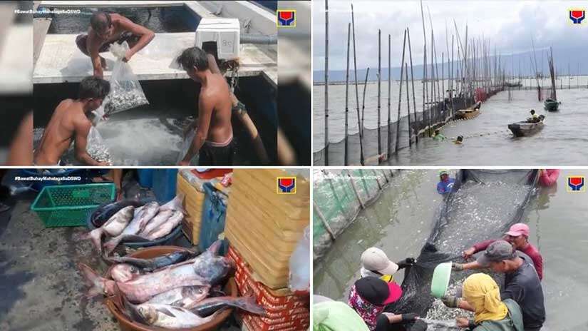Empowering Fisherfolk: DSWD's Livelihood Program Teaches Talim Island Residents Sustainable Fishing Practices