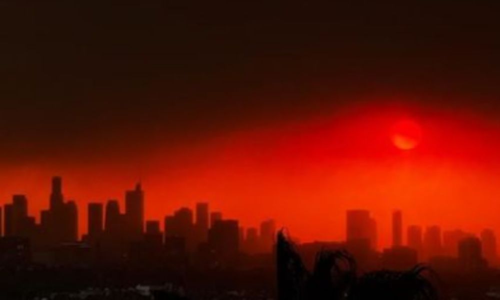 Fernanda Torres compartilha imagens de incêndio em Los Angeles: 'Tudo em chamas'