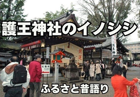 京都の歴史と伝説：護王神社のイノシシと足腰の健康