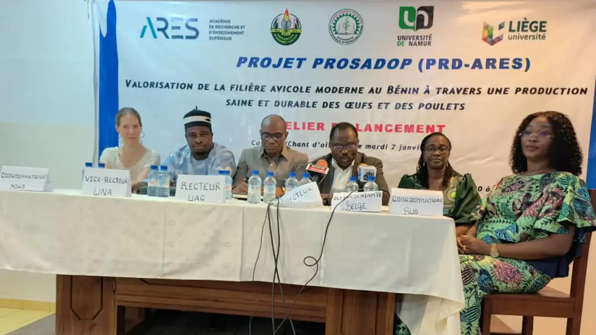 Lancement du projet Prosadop au Bénin : la Belgique soutient la valorisation de la filière avicole