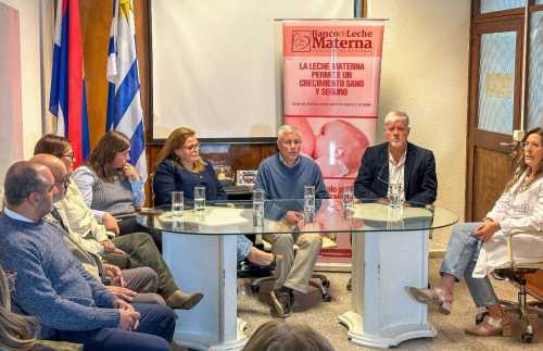 En Maldonado salud pública y privada articulan acciones para proteger a recién nacidos del VRS