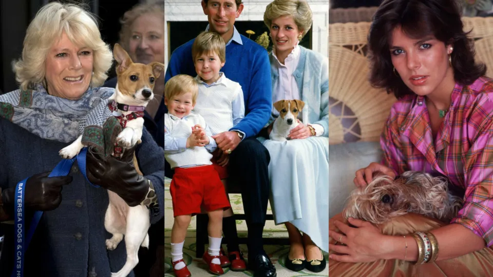 Die niedlichsten royalen Hunde aller Zeiten