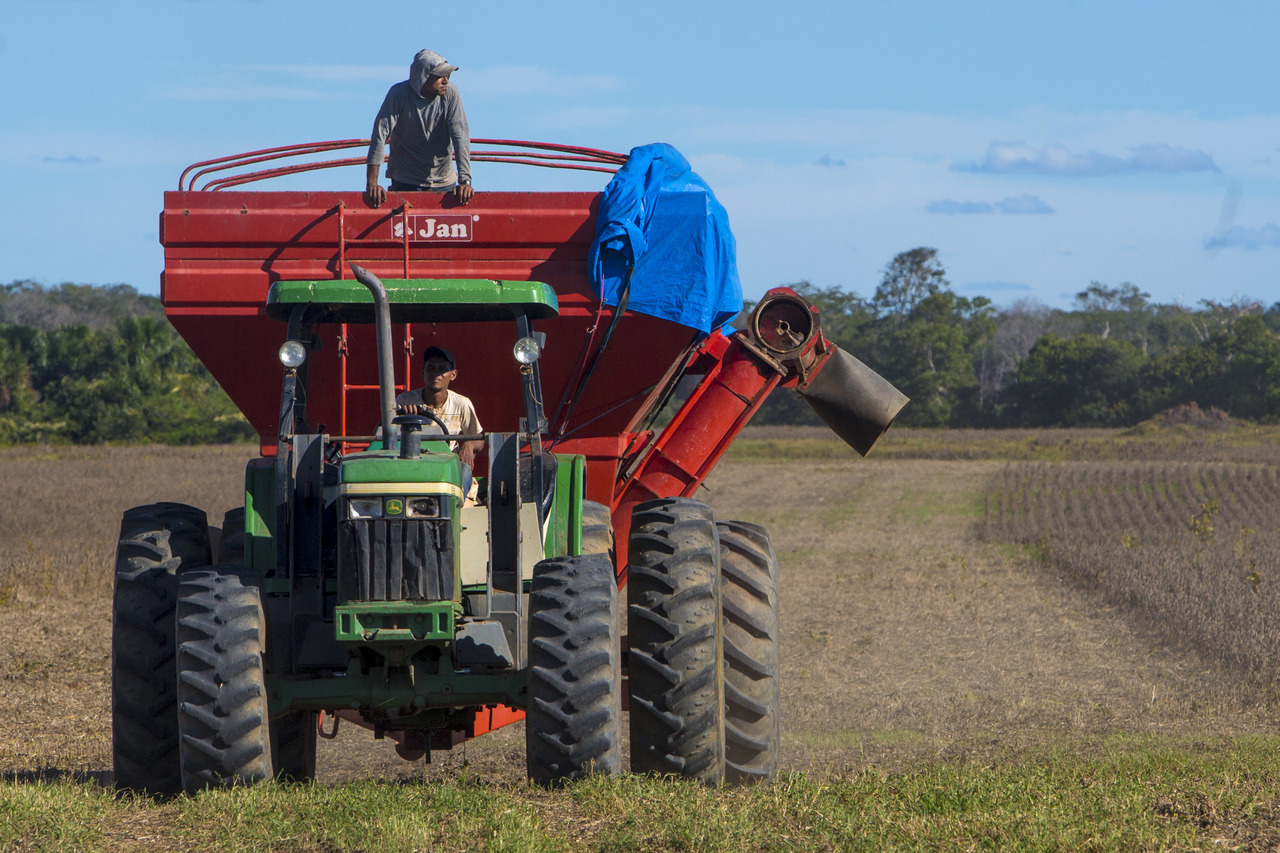 Técnica On Farm: Revolucionando a Produção Agrícola com Segurança, Qualidade e Inovação Tecnológica