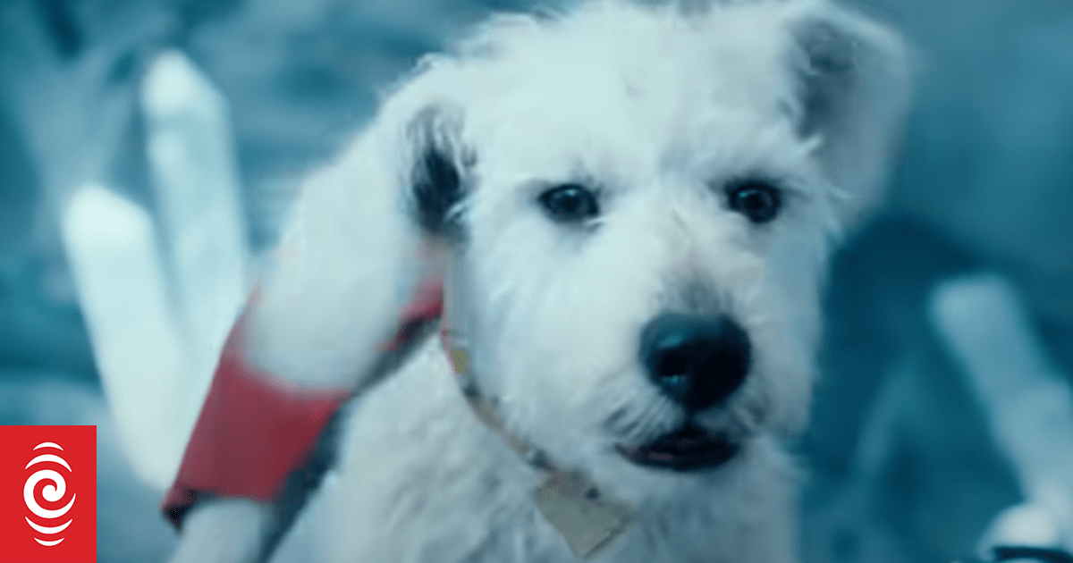 The real-life inspiration behind Superman's not-so-real canine, Krypto