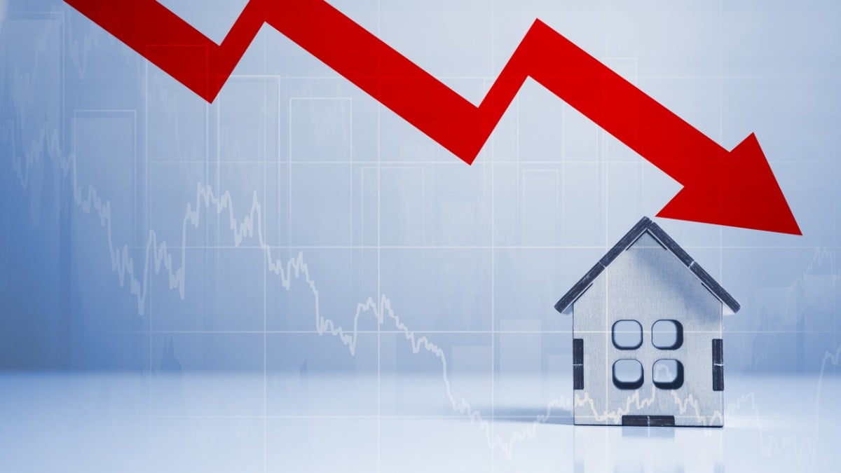 Tordesilhas (TORD11): Despencada de Mais de 10% e Críticas de Cotistas Após Grupamento - O Que Aconteceu?