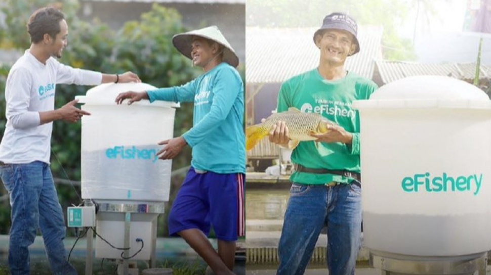 eFishery: Apa yang Terjadi dengan Kasus Manipulasi Laporan Keuangan?