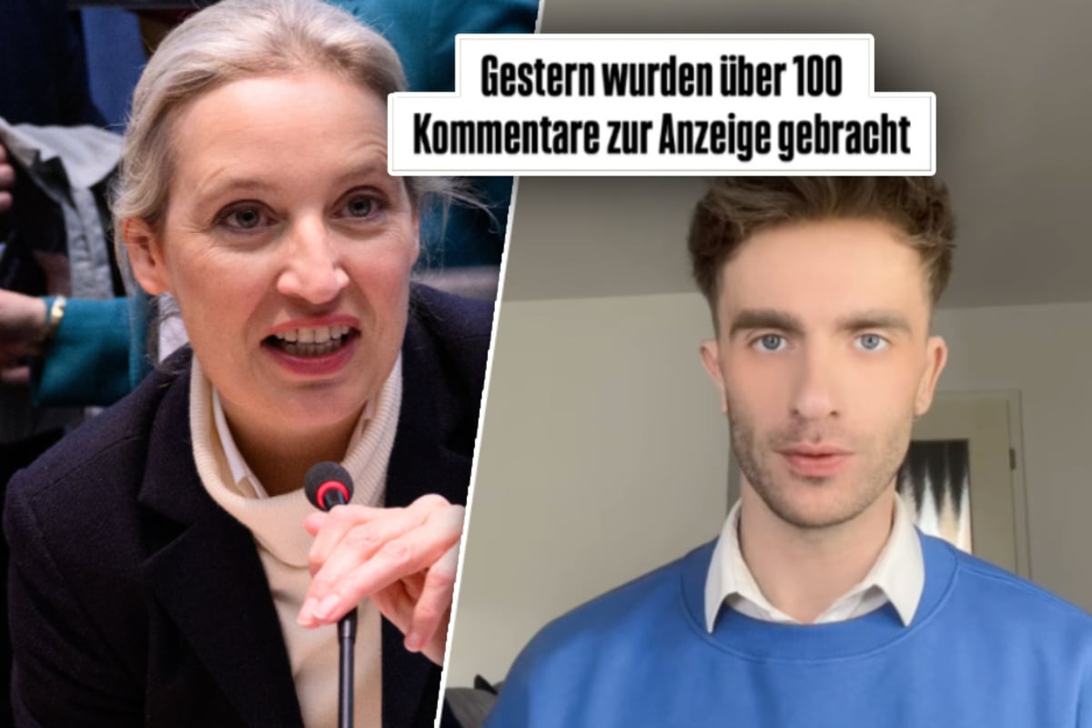 AfD-Chefin Weidel in der Kritik: Felix Nieder äußert sich scharf
