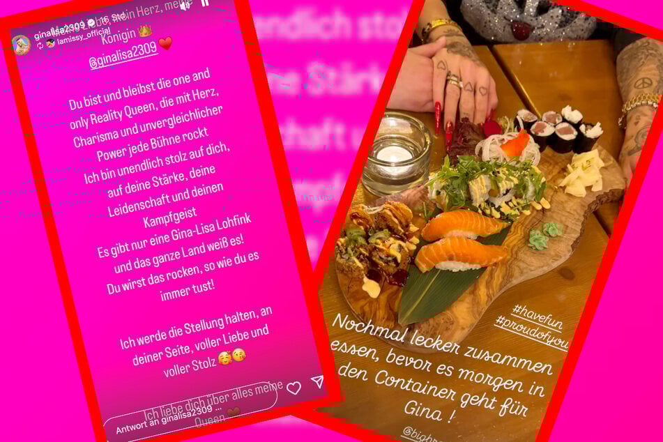 Gina-Lisa Lohfink bei "Big Brother": Liebeserklärung zum Abschied