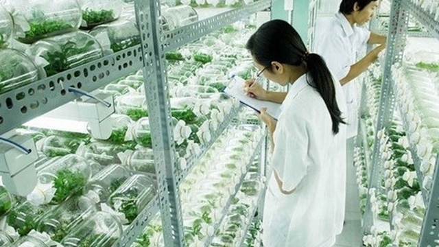 Hà Nội Bứt Phá: Khu Công Nghệ Cao Sinh Học Triệu Đô Triệu Vọng Tại Bắc Từ Liêm