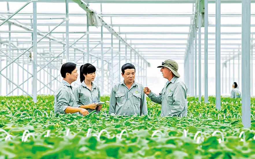 Tiếp cận dự án xanh: Chìa khóa thúc đẩy tài chính xanh tại Việt Nam