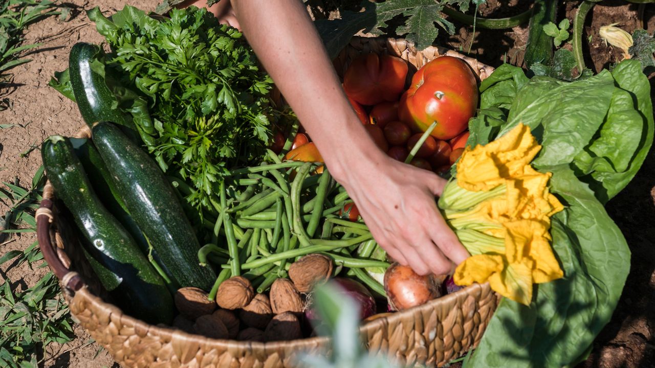 Ich habe bisher nur auf Proteine geachtet - und dabei diesen wichtigen Nährstoff in meiner Ernährung übersehen