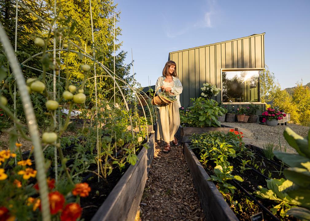 6 surprising health benefits of gardening
