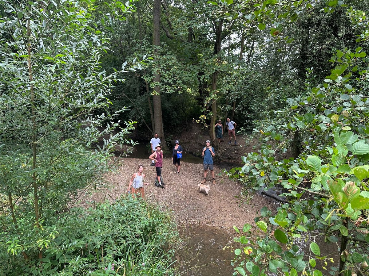 Tottenham Hotspur gets green light for training ground despite anger over 'loss of beautiful park'