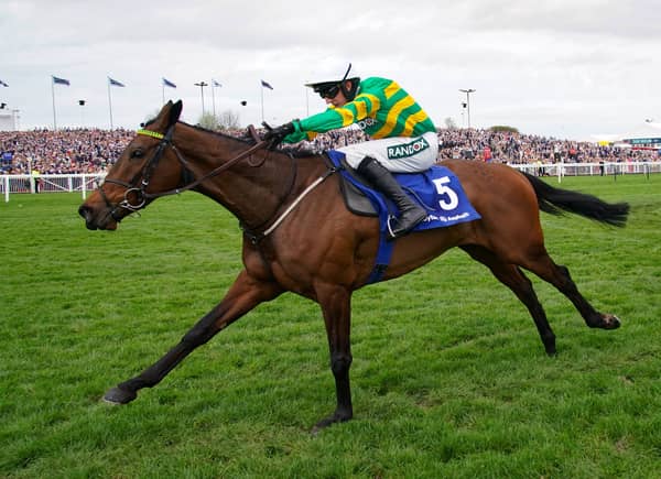 Unleash Your Betting Potential: Top Each-Way Tips for Cheltenham Festival 2025