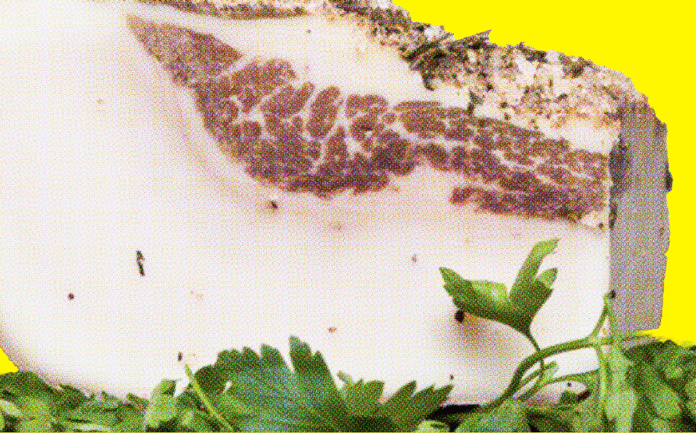 The Truth About Beef Tallow: Is it Safe for Your Health and Skin?