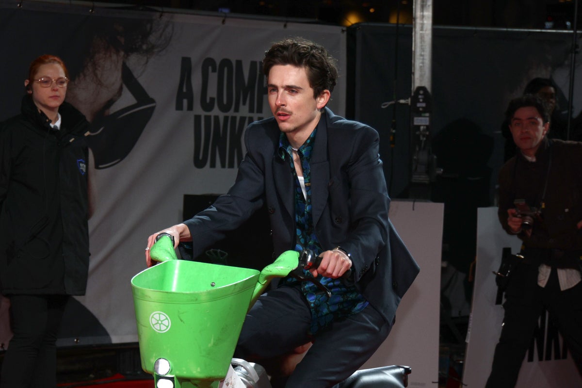 Timothee Chalamet Fined for E-Bike Ride to Bob Dylan Movie Premiere
