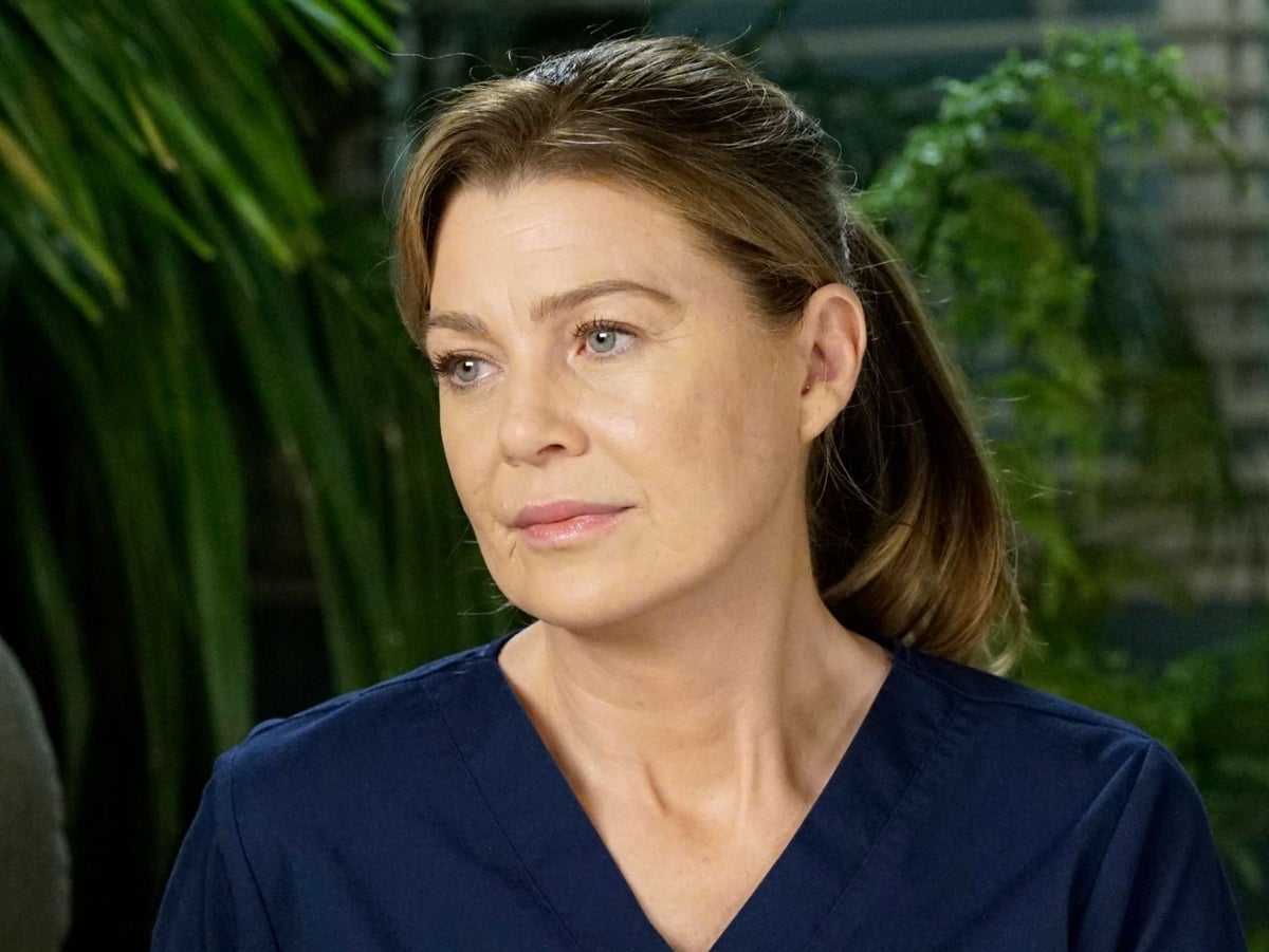 Grey's Anatomy Season 21: Westworld Actress Joins the Cast