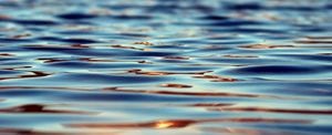 Alerta de algas verde-azules en el lago Marian: Departamento de Salud del Condado de Osceola emite advertencia