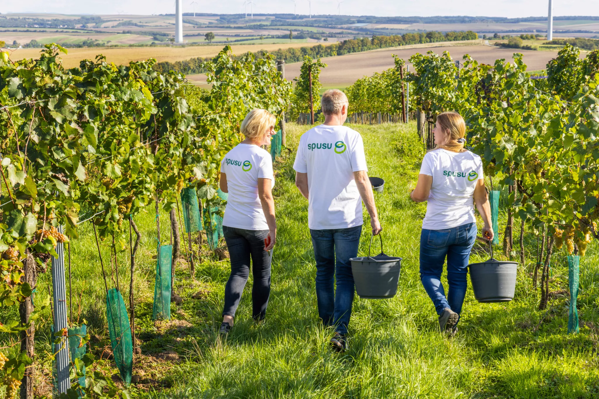 10 Jahre Technologie mit Wurzeln im Weinviertel
