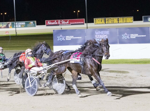 Queensland Bound! Aldebaran Acrux Secures Inter Dominion Spot with Dominant Melton Win