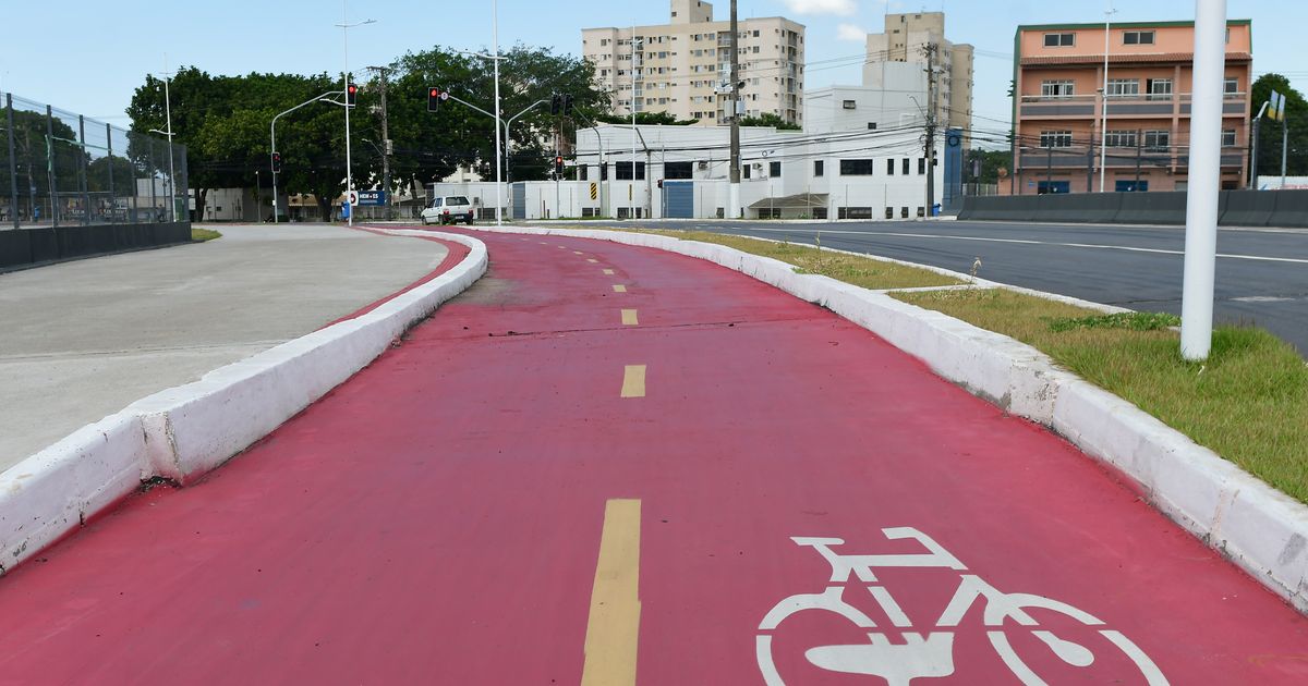 Pedale para o Futuro: O Dia Mundial da Bicicleta e a Urgência de Mais Ciclovias em Portugal