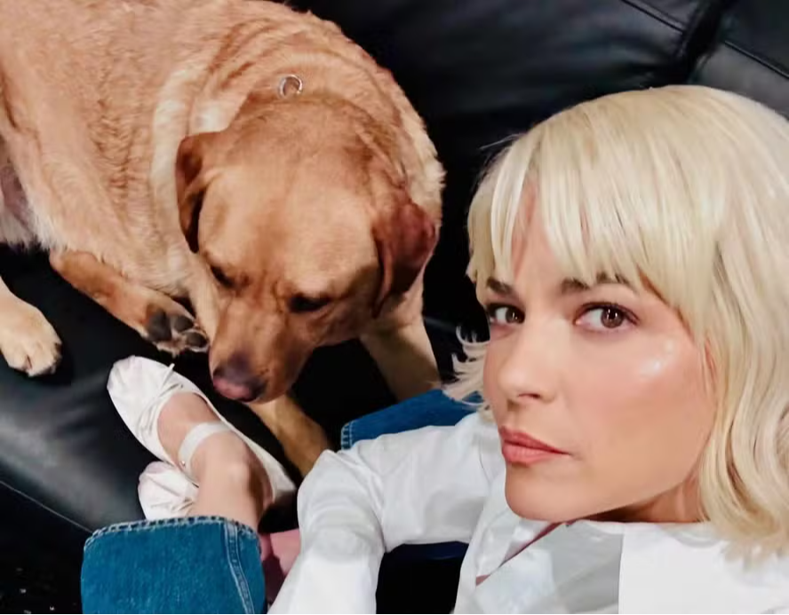 Atriz Leva Cão de Serviço ao Oscar: Entenda Sua Condição de Saúde com Esclerose Múltipla