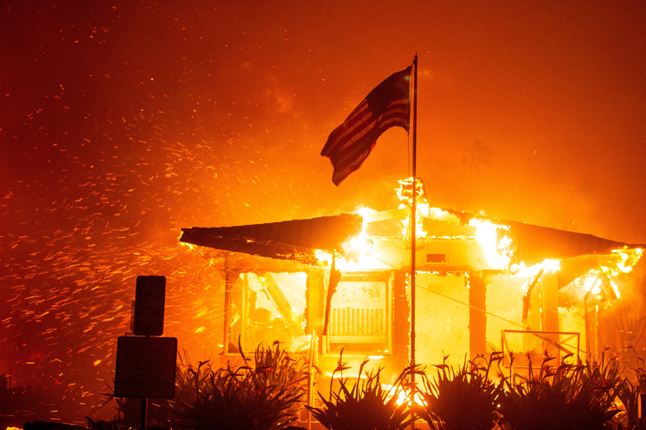 Incendies de forêt à Los Angeles : les célébrités touchées par les flammes